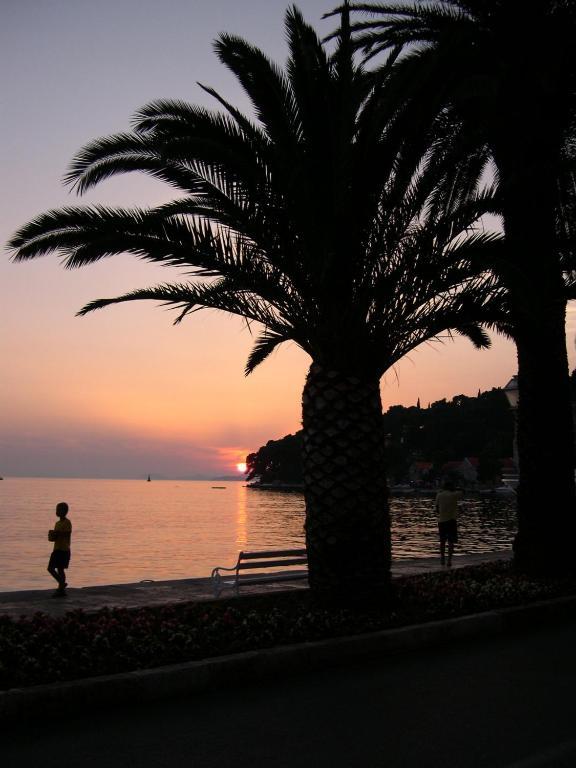 Villa Radovic Cavtat Eksteriør billede